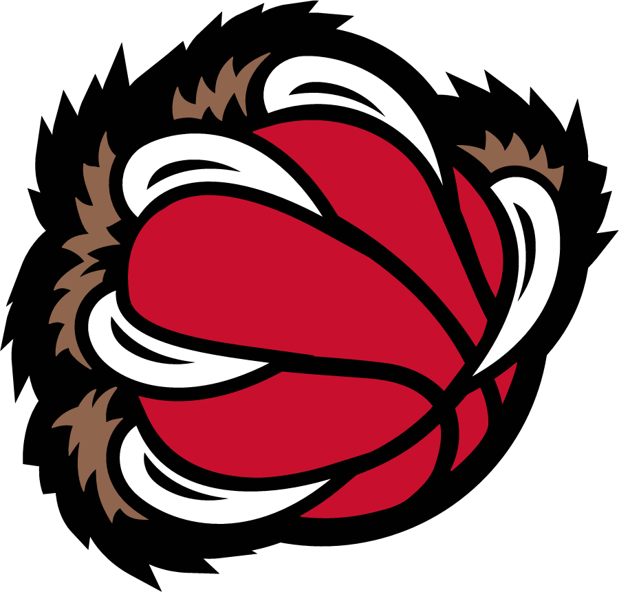 Memphis Grizzlies 2001-2004 Alternate Logo iron on heat transfer v2